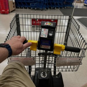 old people cart.jpg