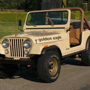 CJ7 golden eagle.webp