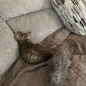 IMG_1777.jpeg