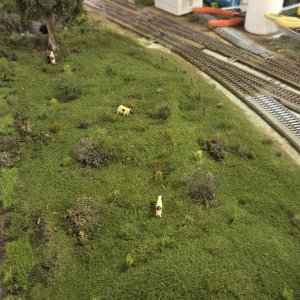 109 pasture.jpg