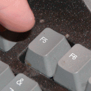 press_f5_gif.gif
