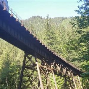 IMG_8340.jpeg