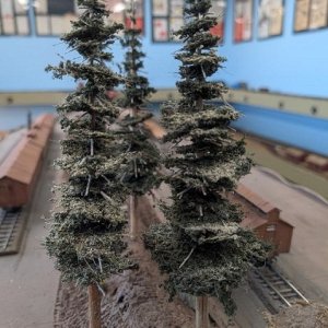 Three Trees.jpg