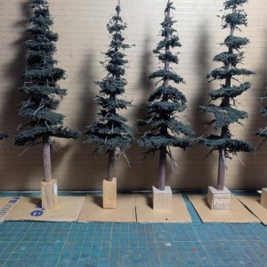 Trees2.jpg