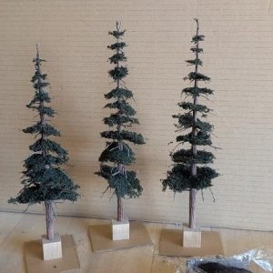 trees.jpg