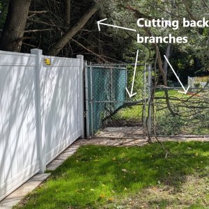 Tree_Work_02.jpg