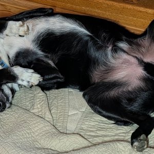 Murphy_09_24_26_02.jpg