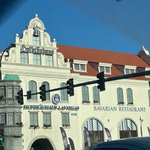 IMG_2130.jpeg