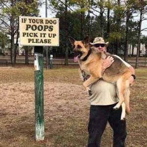 if-your-dog-poops-.jpg
