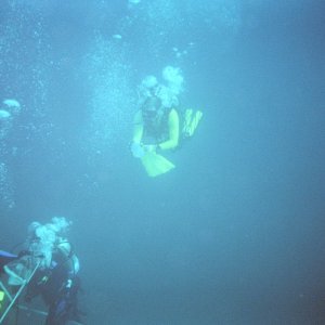 James Rowland & Mark Meador Diving.JPG