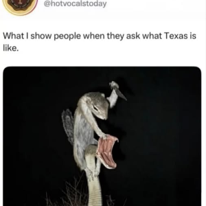 1790887605890.png