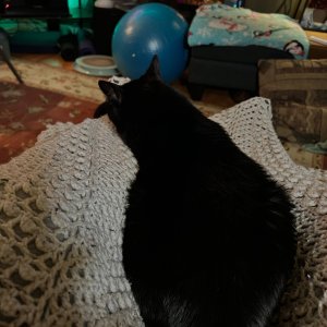 fuzzbut.jpg