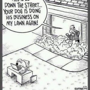 DogBusiness.jpg