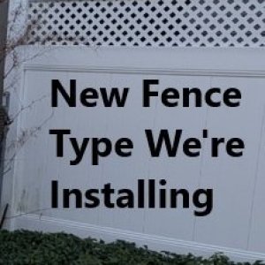 New_Border_Fence_02.jpg