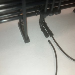 IMG_6700.jpeg