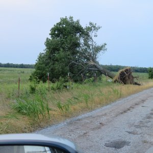 IMG_0223.JPG