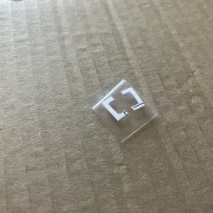 IMG_7087.jpeg