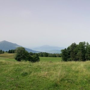 zugersee.jpg