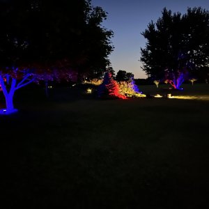 IMG_6720.jpg