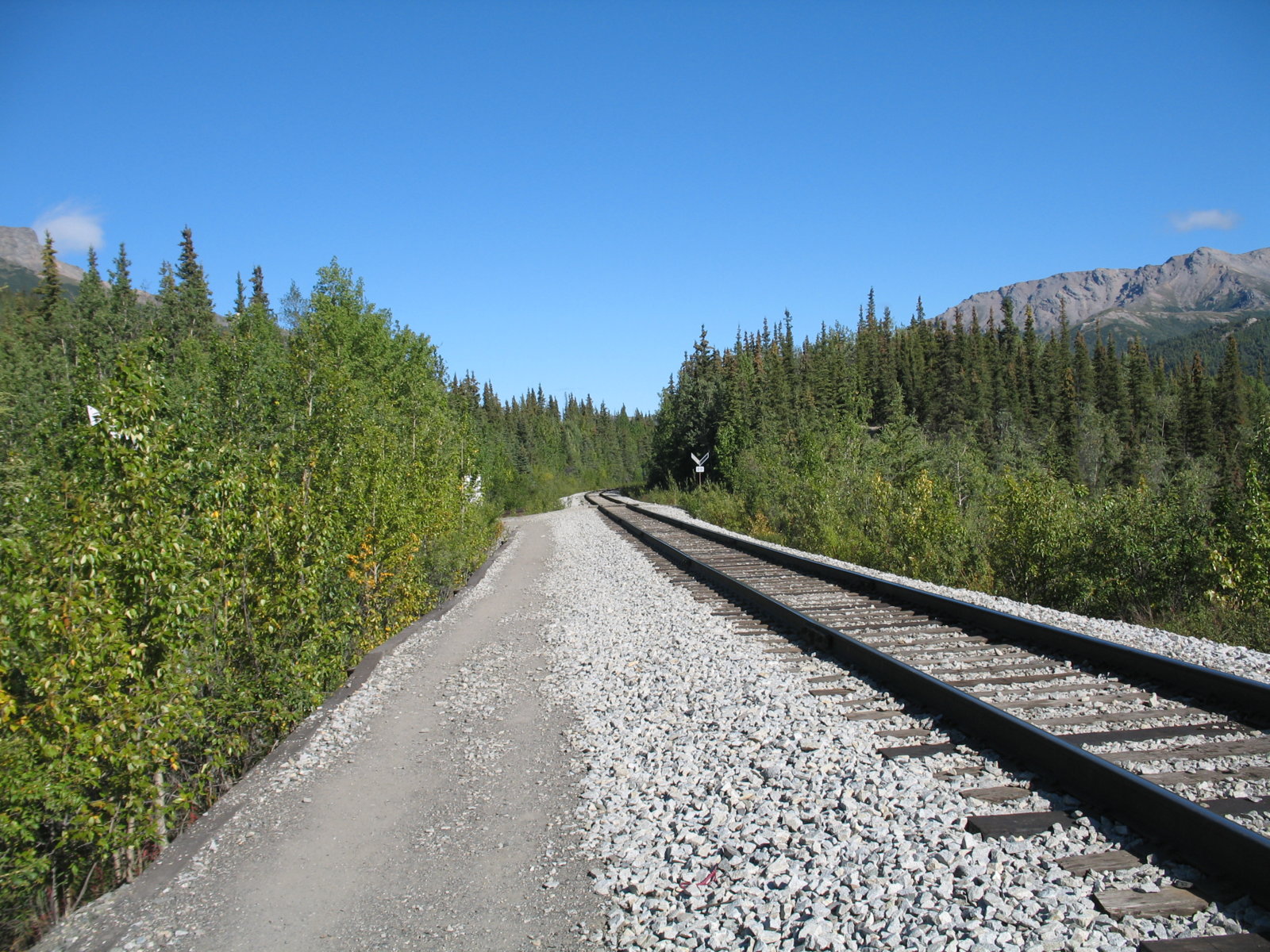 Alaska_Railroad_tracks.jpg