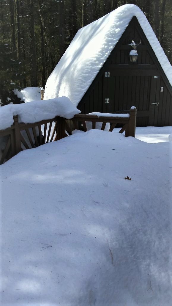 Cabin Snow March 12.jpg