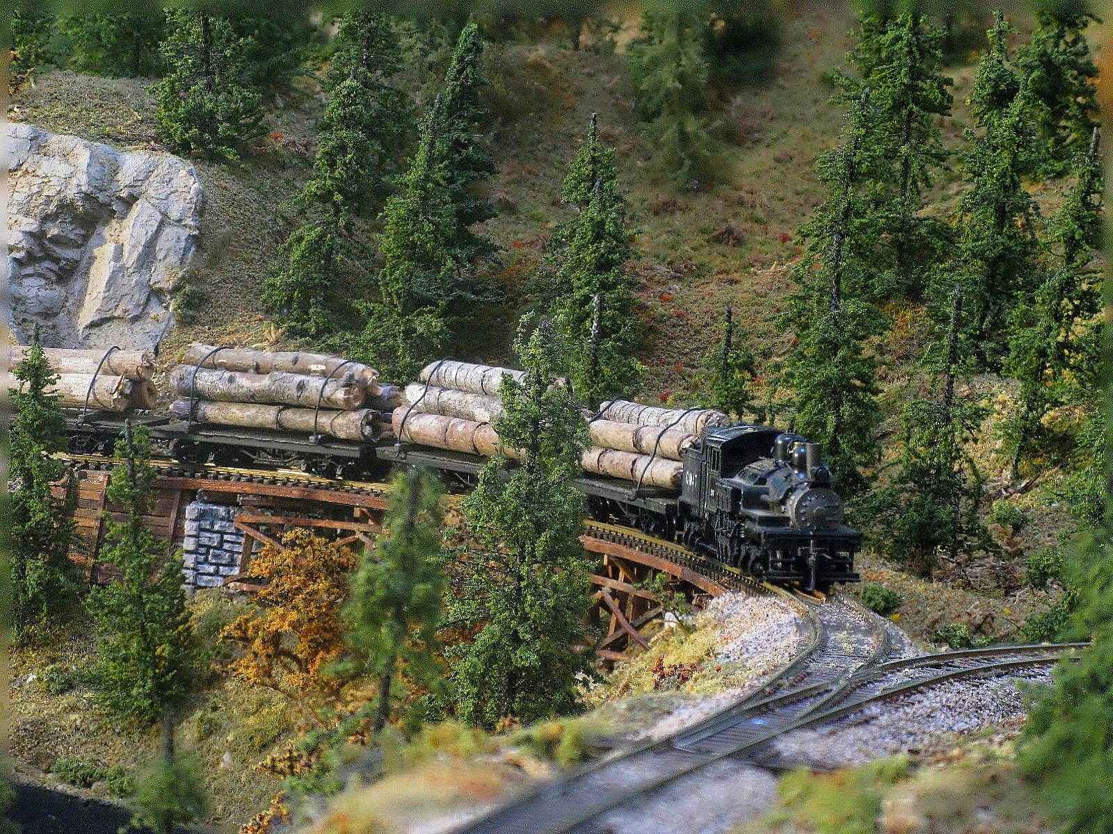 Log Train1.jpg