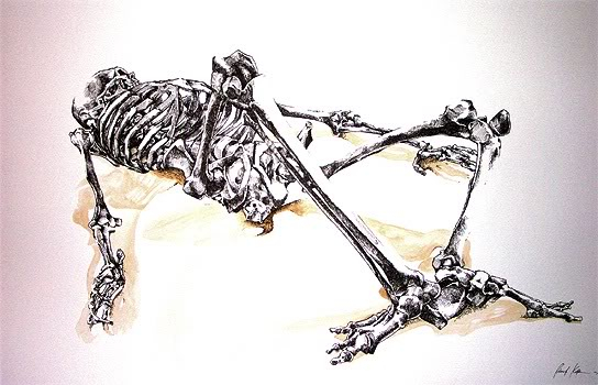 skeleton13.jpg