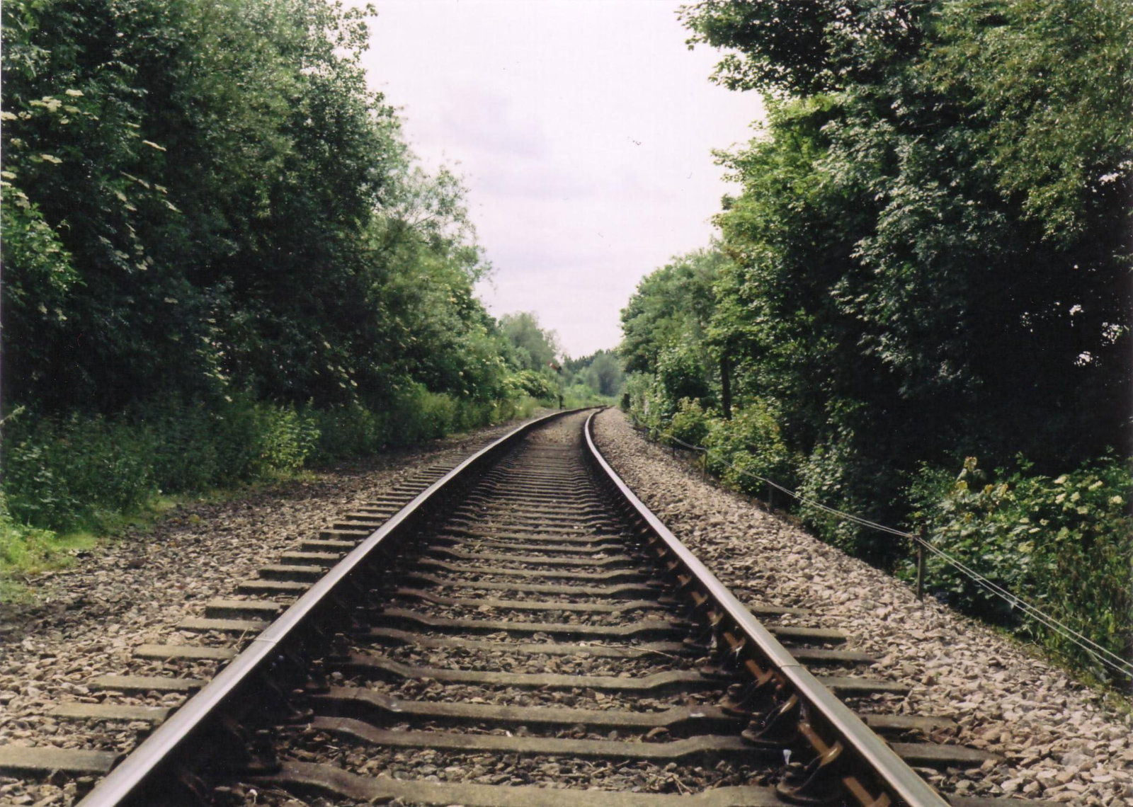 train_tracks_by_funky_fairy.jpg