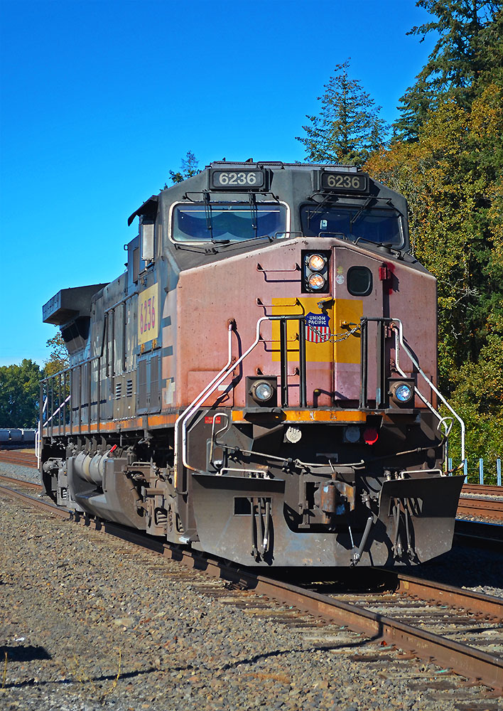 10056236-2.jpg