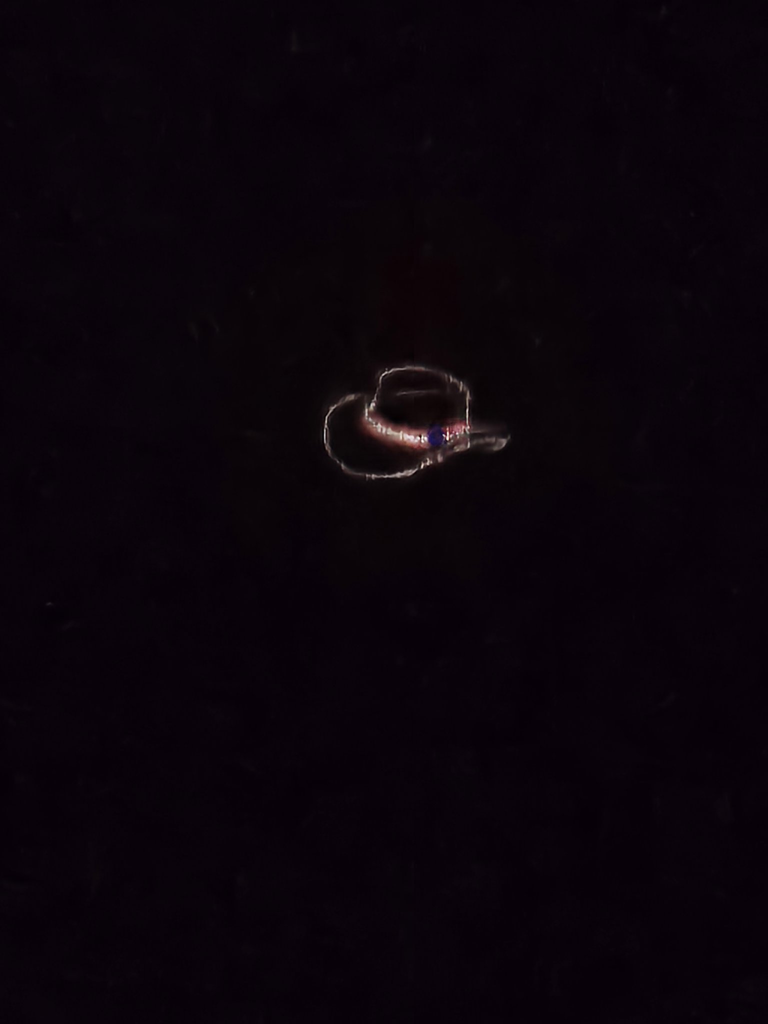 1749824159431.jpeg