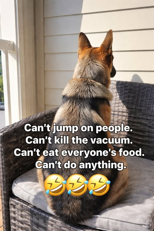 1771878008665.png
