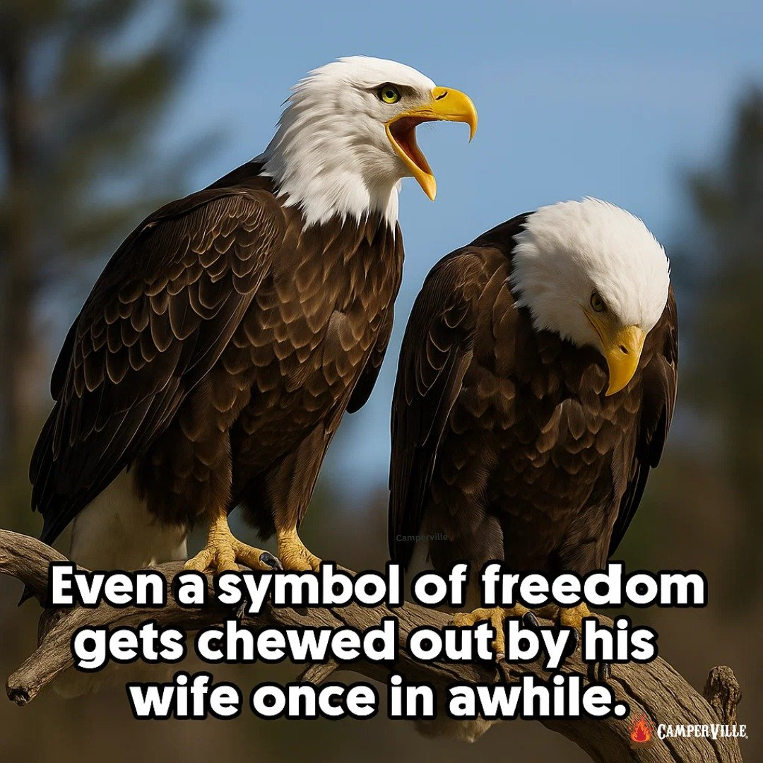 1776251879304.png