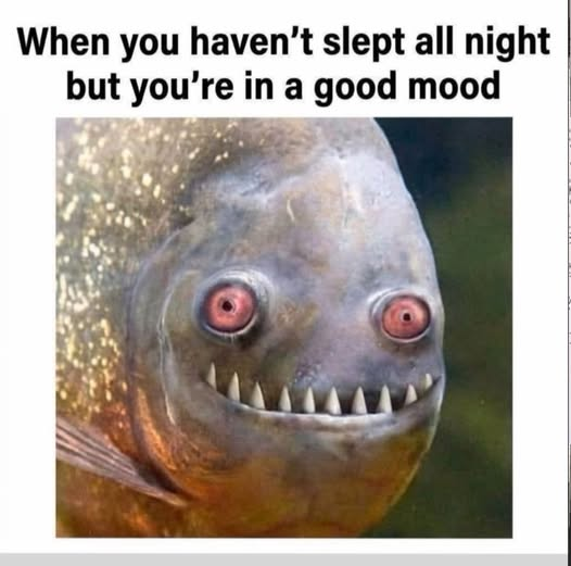 1776723523184.png