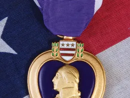 1786112995817.png