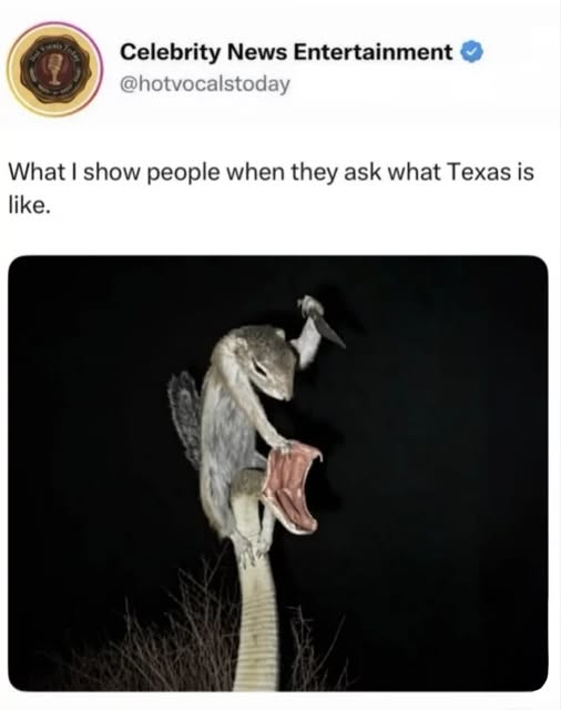 1790887605890.png