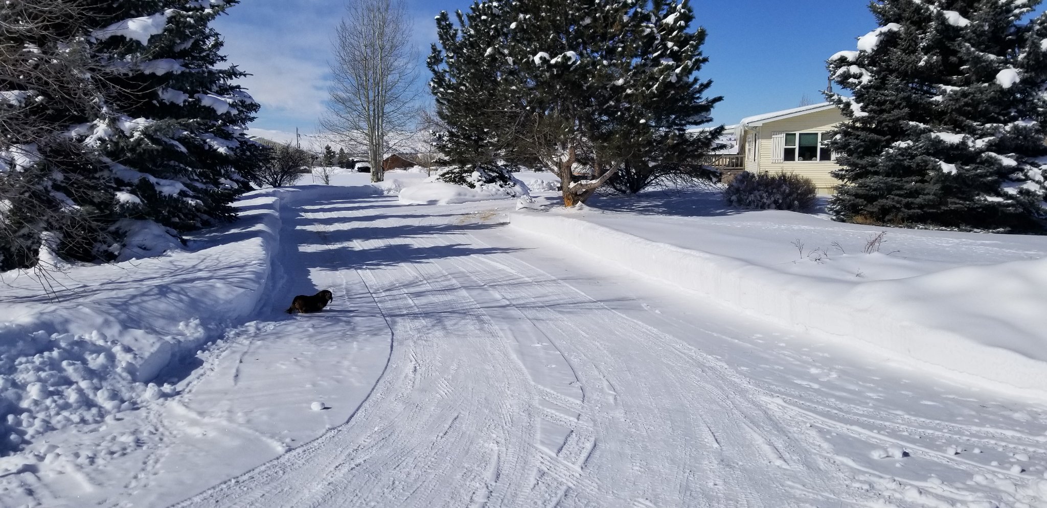 20190305_114947.jpg