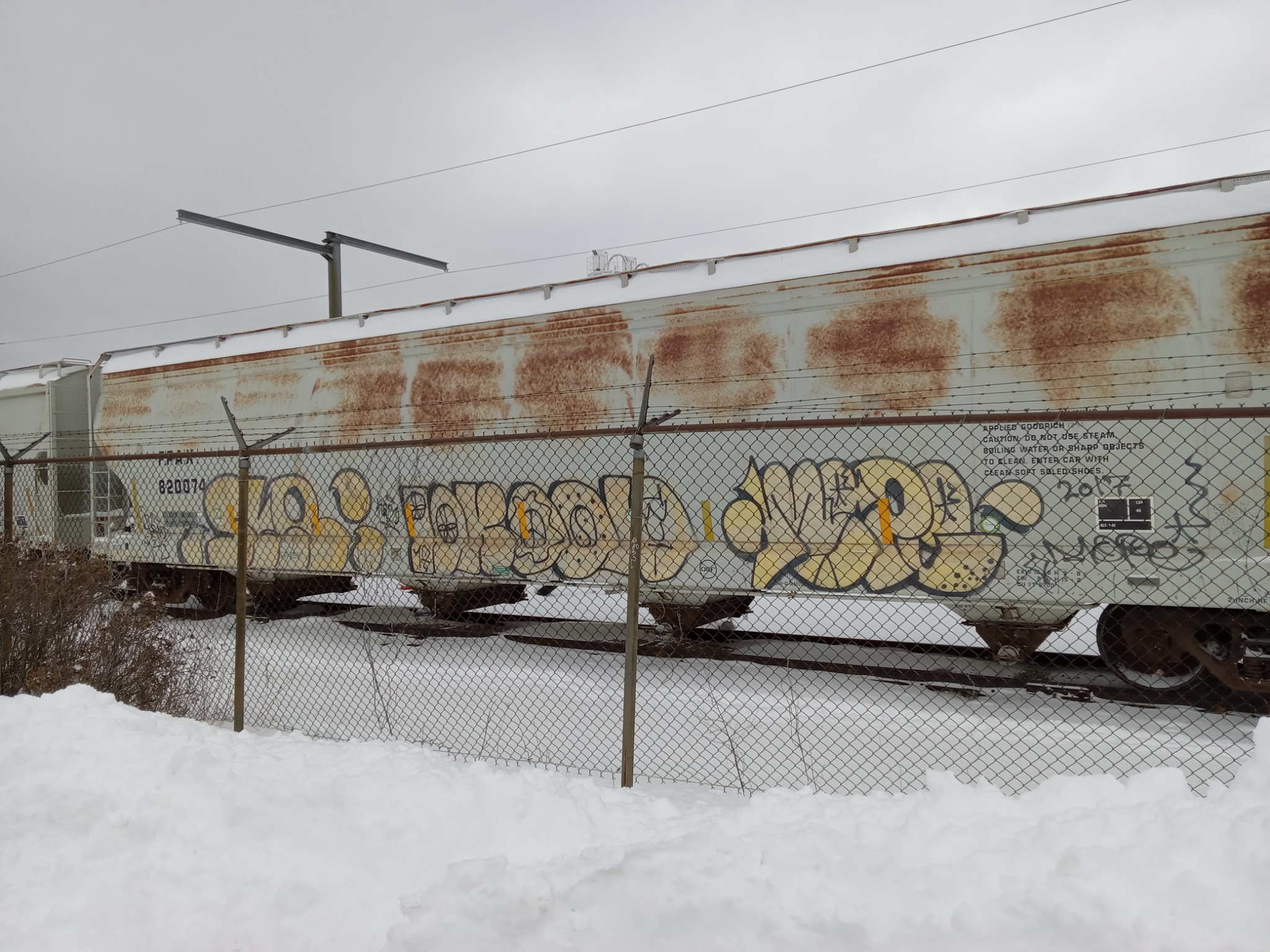 20260116_130225.jpeg