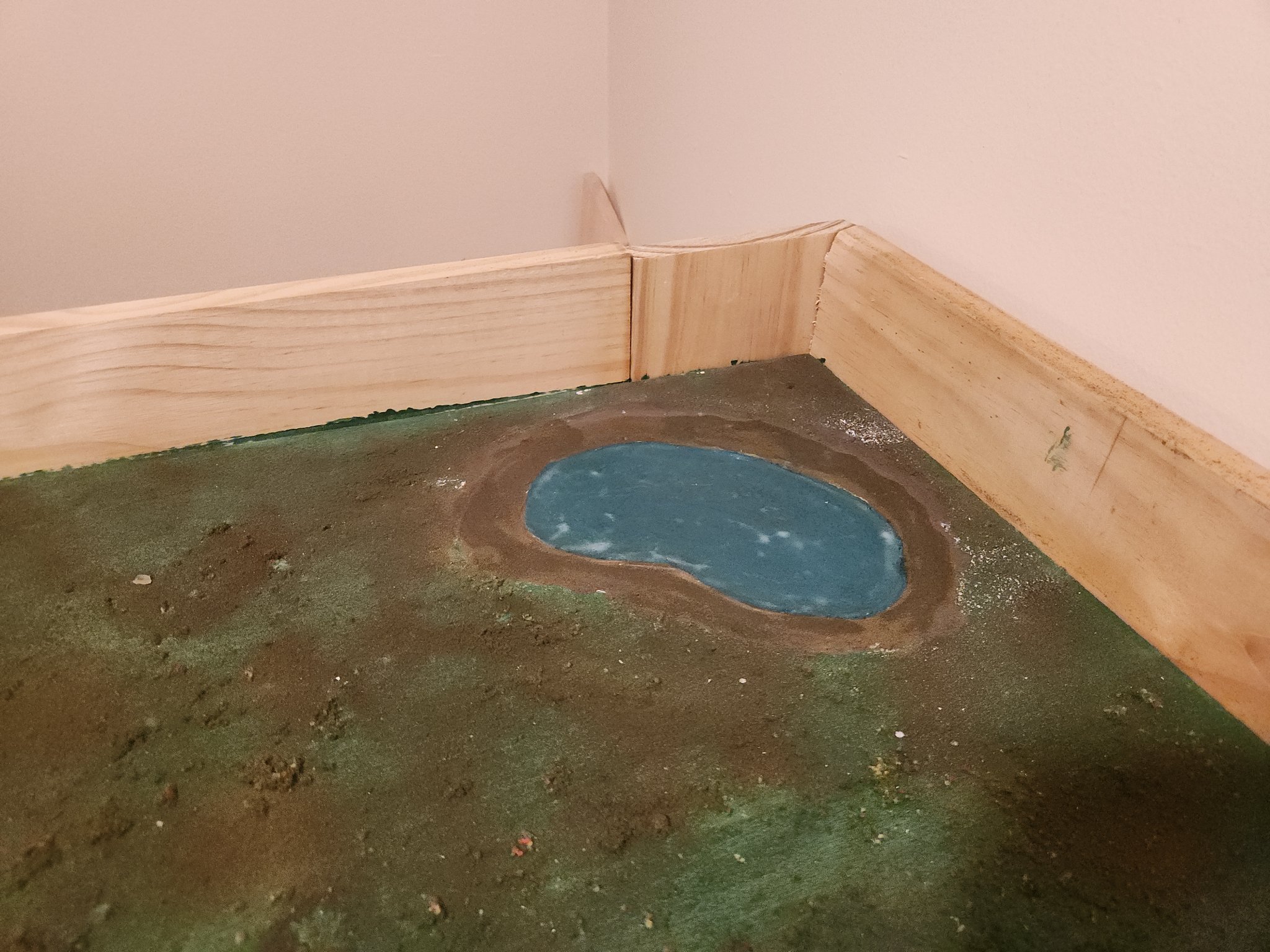 20260407_060046.jpg