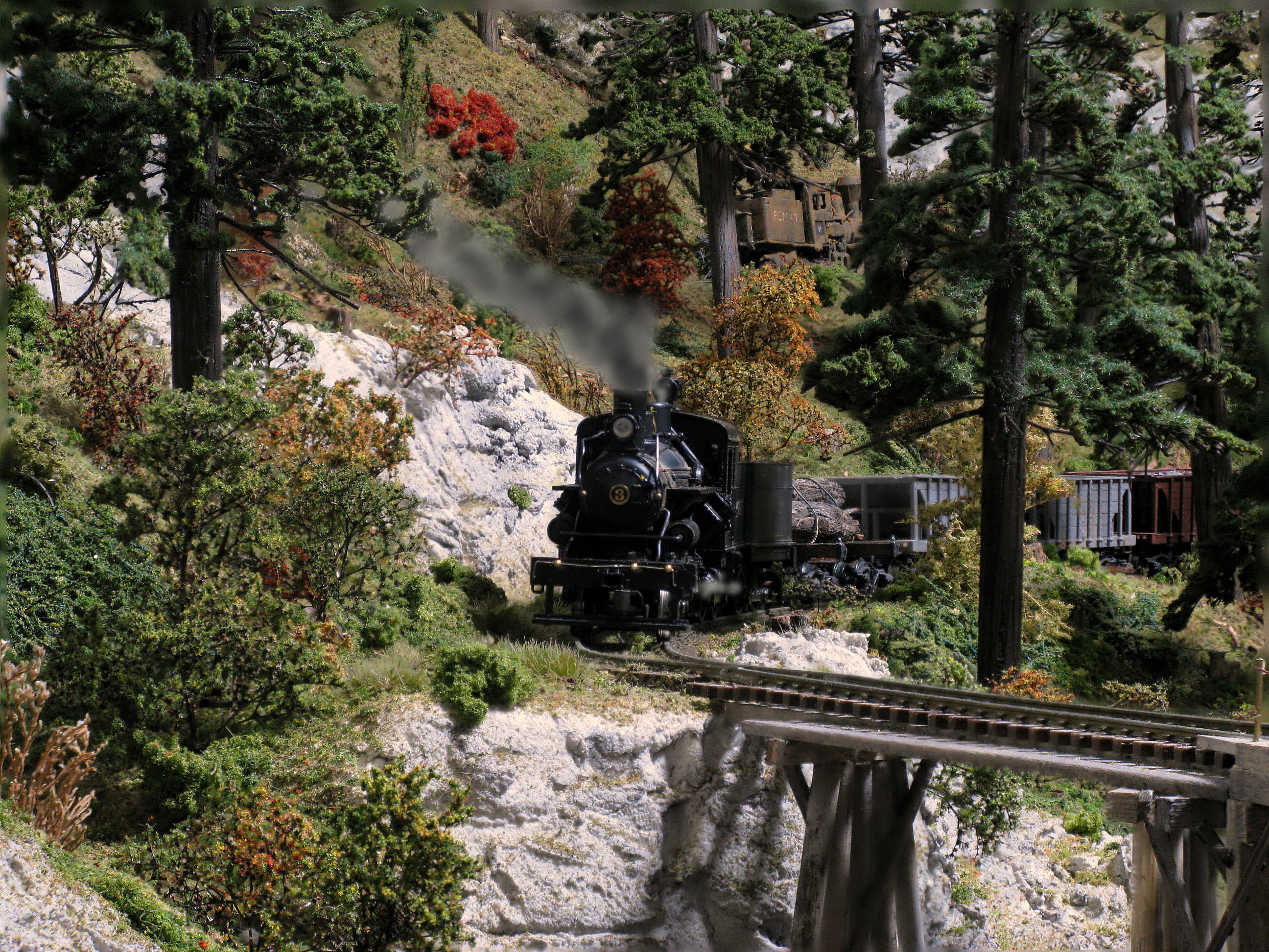 44 through the trees2.jpg