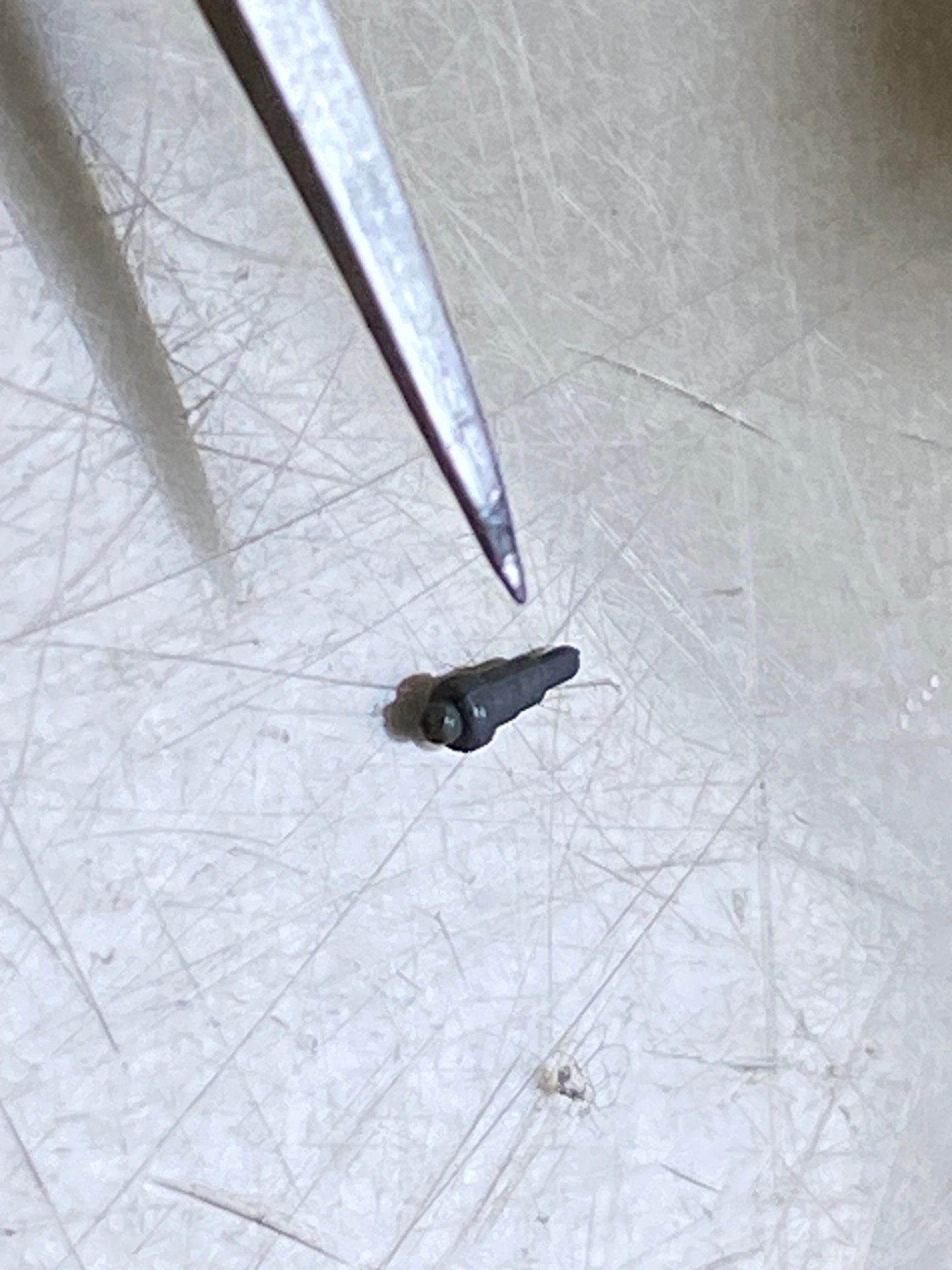 ANTENNA.jpeg