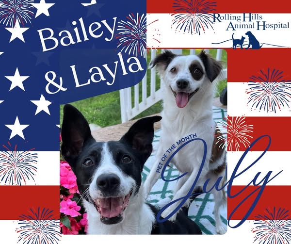 Bailey and Layla.jpg