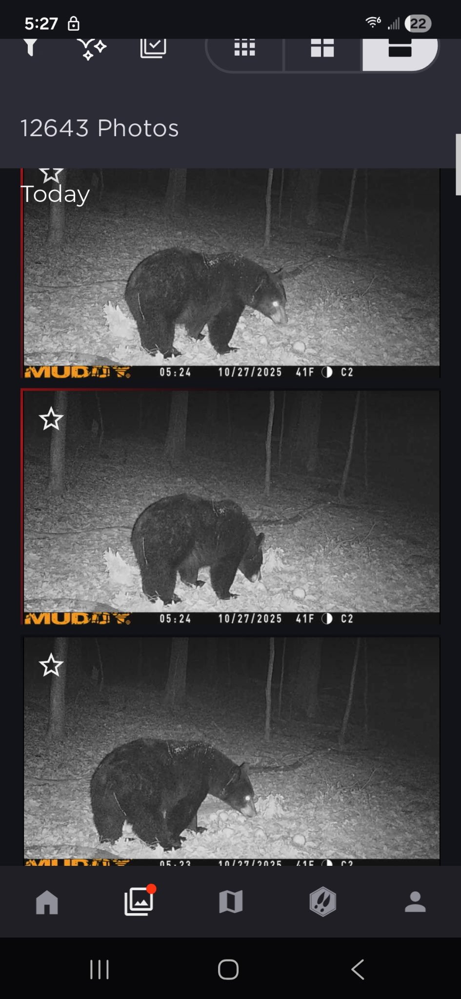 Bear_Trailcam.jpg