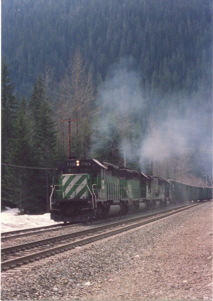 bn7115.jpg