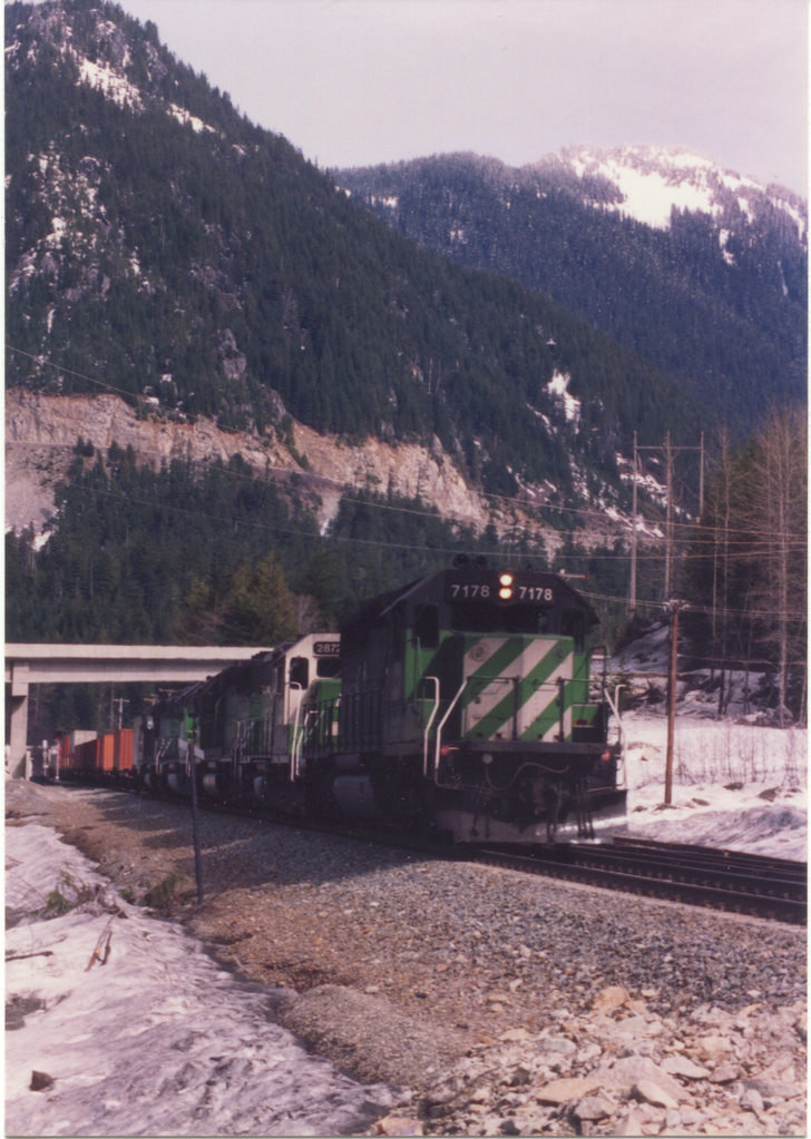 bn7178.jpg