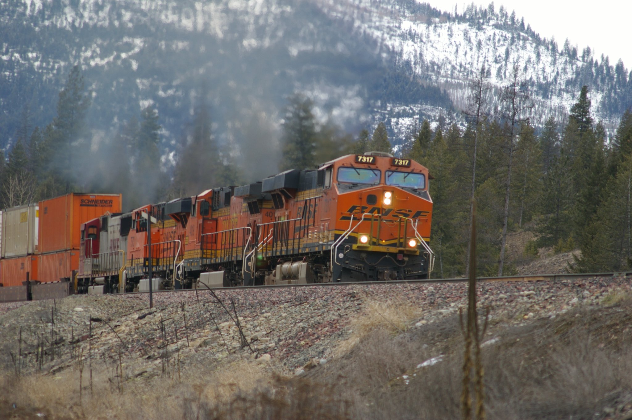 bnsf7317.jpg