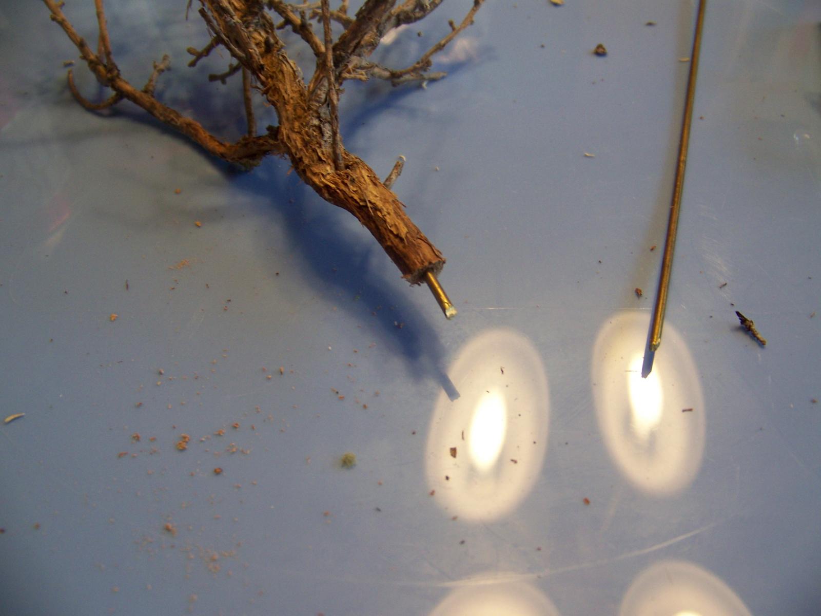 Building sage brush trees