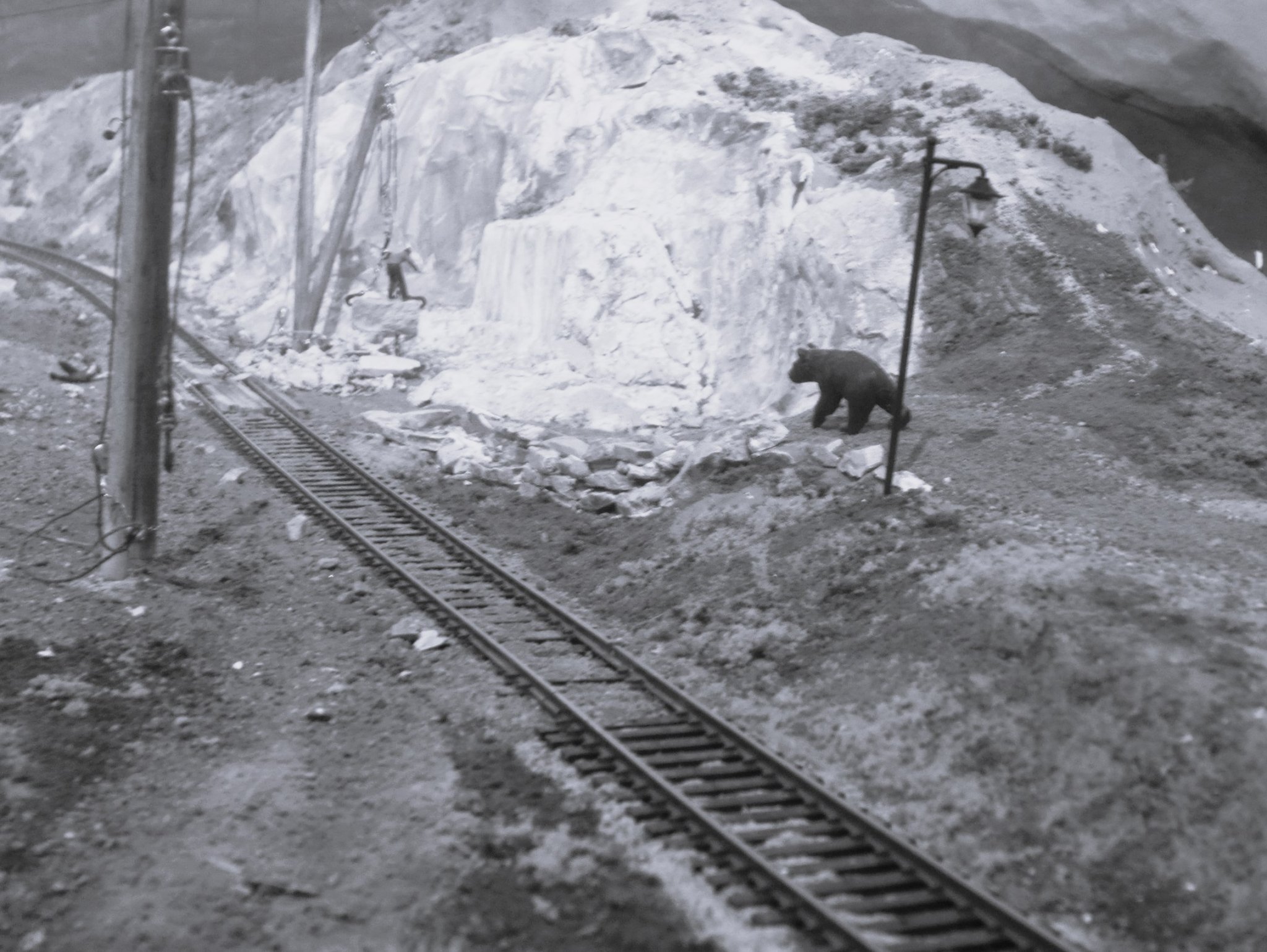 BW7.JPG