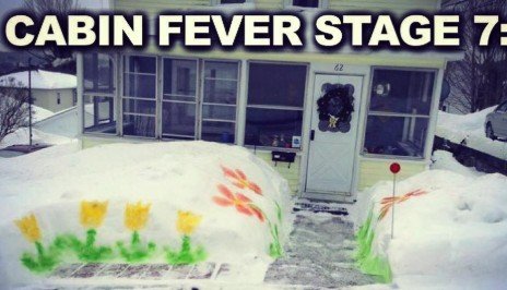 Cabin_Fever.jpg