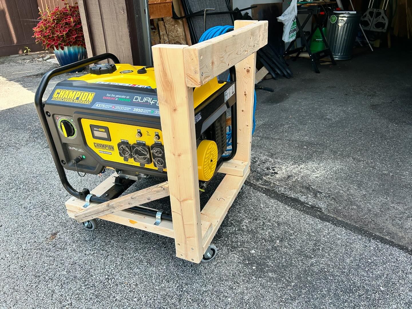 cart 1.jpg