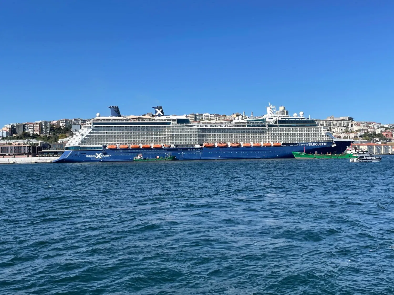 Celebrity Silhouette in Istanbul.webp